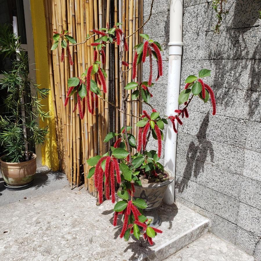 Pousada Maraki Maceió 外观 照片